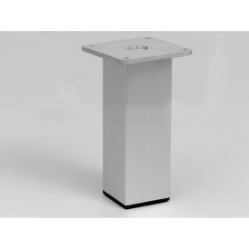 19134 alumínium szekrényláb 100mm műanyag