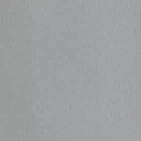 D301 ps52 4110*43 élzáró ezüst