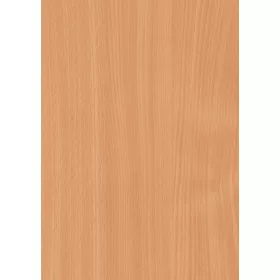 0291 na korpuszbükk 2800*2070*19 bútorlap