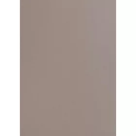   D226 PS65 4100*600*38mm munkalap Beige Lotus Antibakteriális Ujjlenyom