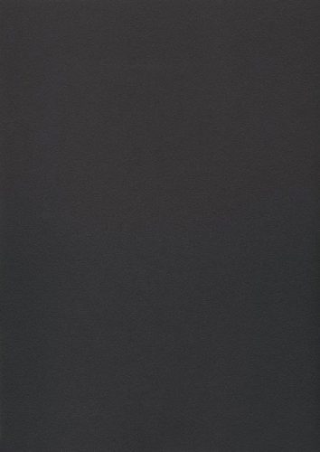 D225 PS65 4100*900*38mm asztallap Szürke Lotus Ujjlenyomatmentes Felület
