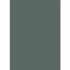 I-2670 4200*635*38mm munkalap Amazonas green