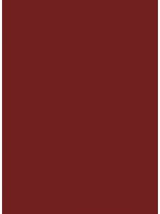 7966 3600*635*38mm munkalap Burgundy