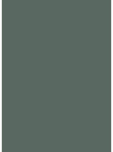 I-2670 4200*900*38mm asztallap Amazonas green