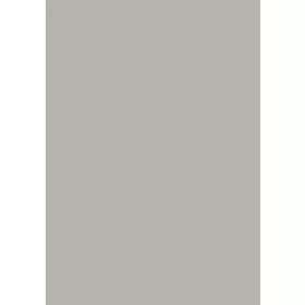 0756 TE Warmgrau Mittel 2800*2070*19 bútorlap Milano trend