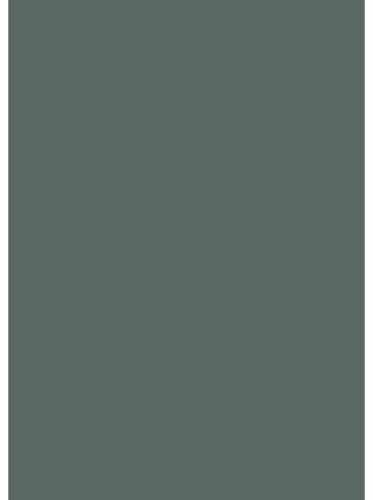 I-2670 4200*640*10mm hátfalpanel Amazonas green
