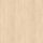 H1732 ST9 Sand Birch 2800*2070*18 bútorlap